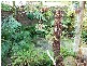 335 Coghlan Road, Silverleaves VIC 3922