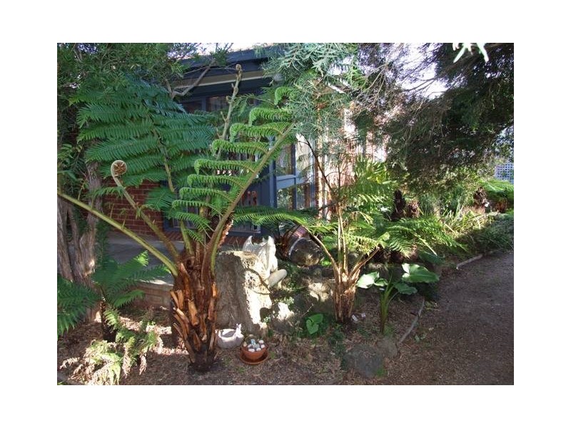 12 Holiday Court, Cowes VIC 3922