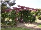 47 McHaffies Lane, Ventnor VIC 3922