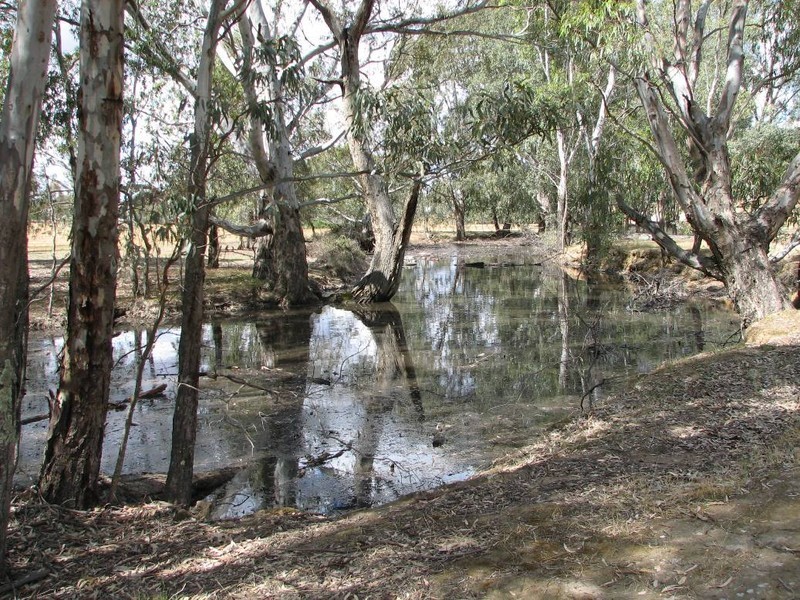 36 and 36a Shearing Shed Road, Carapooee VIC 3478