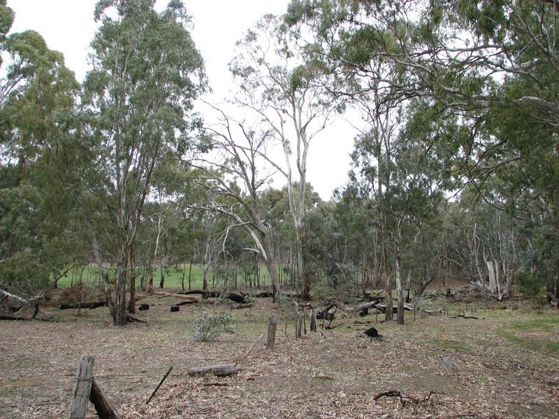 36 and 36a Shearing Shed Road, Carapooee VIC 3478