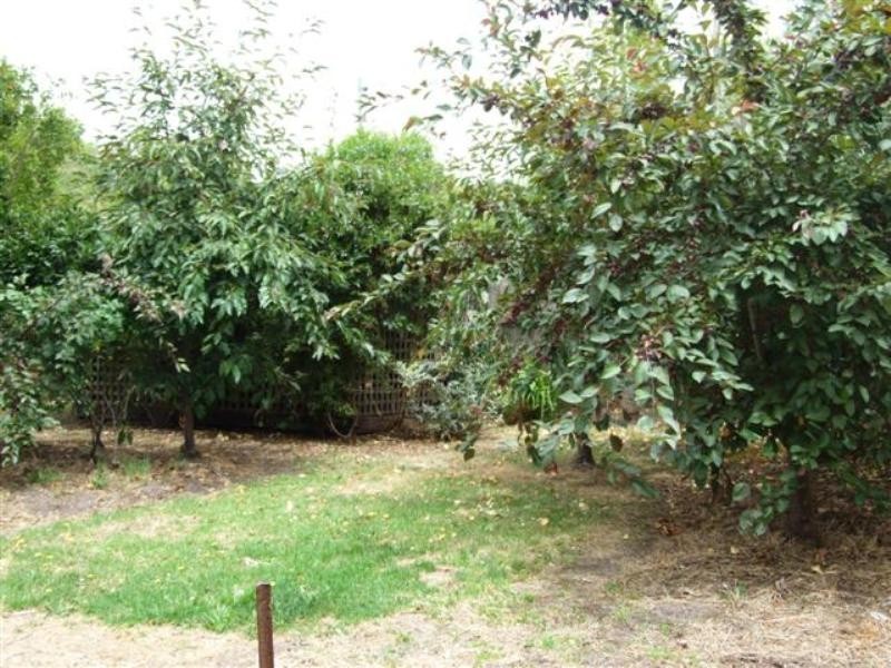 30 Walton Street, Rhyll VIC 3923