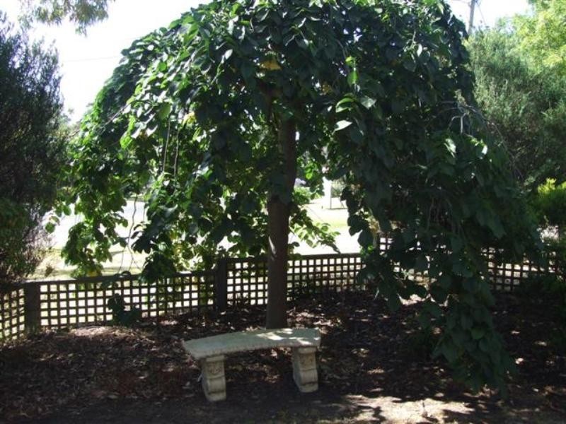 30 Walton Street, Rhyll VIC 3923