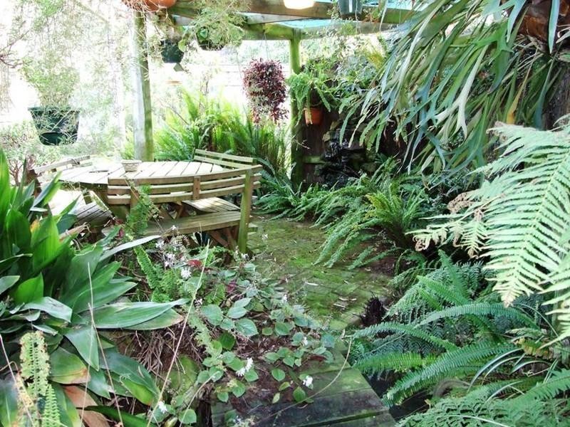 335 Coghlan Road, Silverleaves VIC 3922