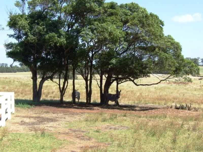 69 Coghlan Road, Cowes VIC 3922