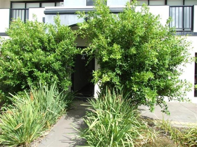 7/146 Thompson Avenue, Cowes VIC 3922