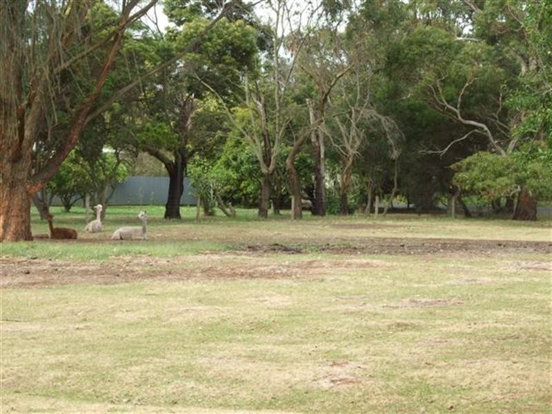 69 Coghlan Road, Cowes VIC 3922