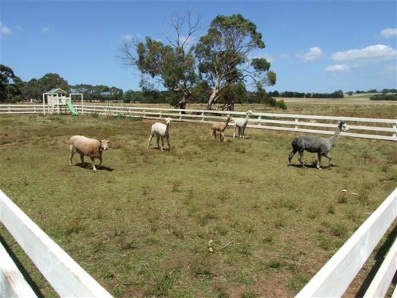 69 Coghlan Road, Cowes VIC 3922