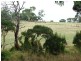497 Settlement Road, Cowes VIC 3922