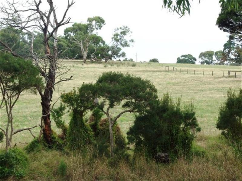 497 Settlement Road, Cowes VIC 3922