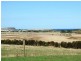 Lot 2 Ventnor Road, Ventnor VIC 3922