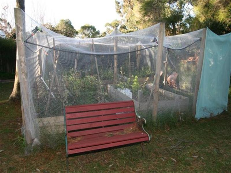 3 Angelina Avenue, Ventnor VIC 3922