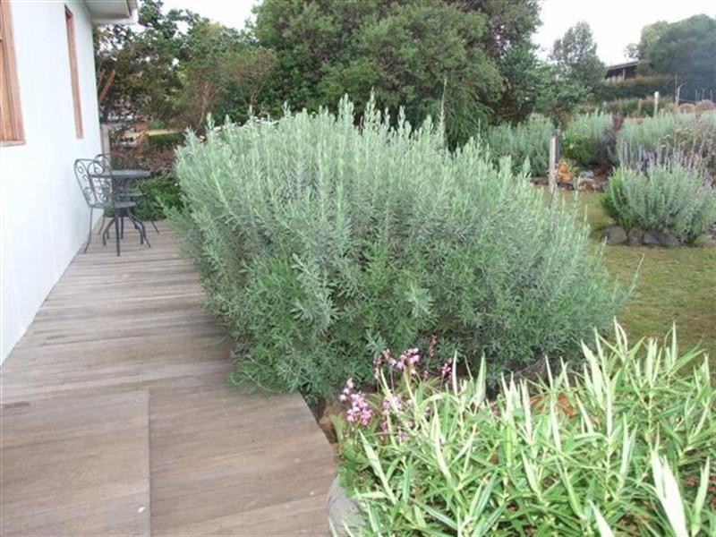 14 Bermagui Crescent, Sunset Strip VIC 3922