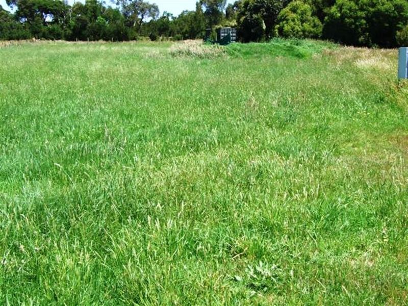 51 Manna Gum Drive, Cowes VIC 3922