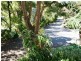 26 Lock Road, Rhyll VIC 3923
