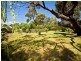 14 Honeyeater Drive, Silverleaves VIC 3922