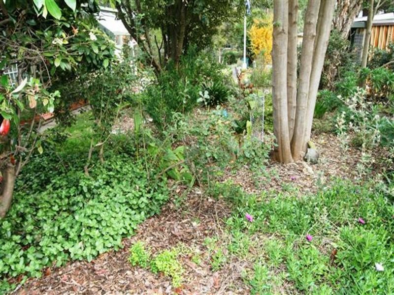 57-59 Teddy Bear Lane, Cowes VIC 3922