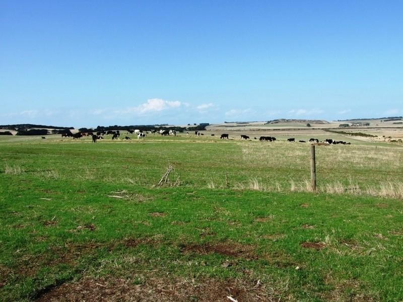 Lot 2 Ventnor Road, Ventnor VIC 3922