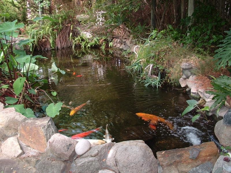 29 Hackett Street, Mandurah WA 6210