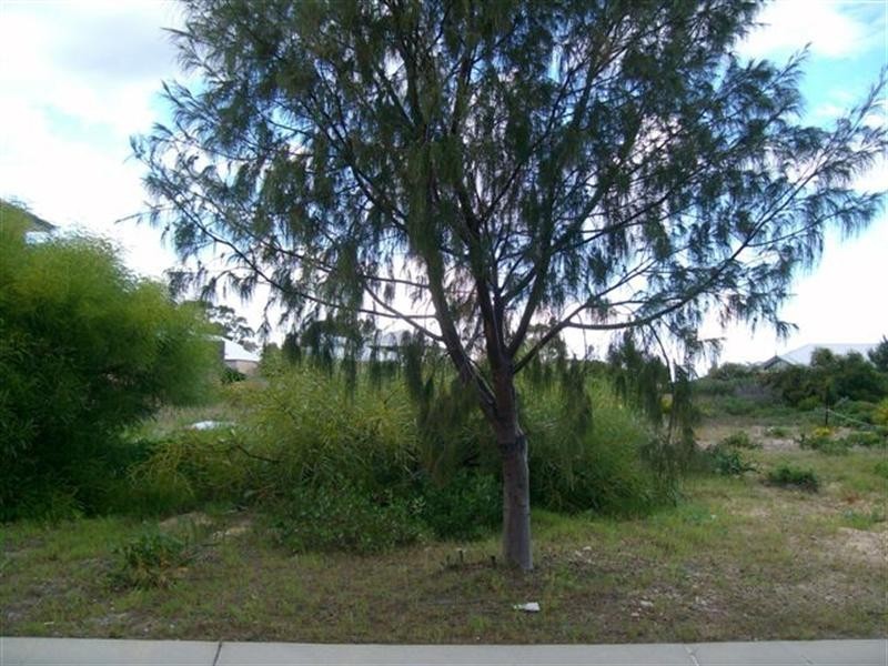 13 Crowsnest Terrace, Wannanup WA 6210