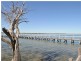 19 Hillway Street, Dawesville WA 6211