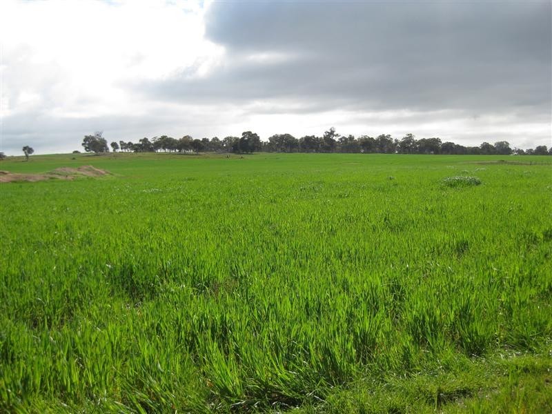 Lot 4585 Doyle Road , West Arthur, Arthur River WA 6315