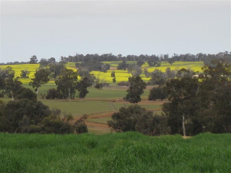 lot 4601 Doyle Road, Arthur River WA 6315