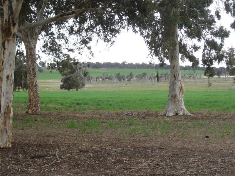 lot 4584 Doyle Road, Arthur River WA 6315