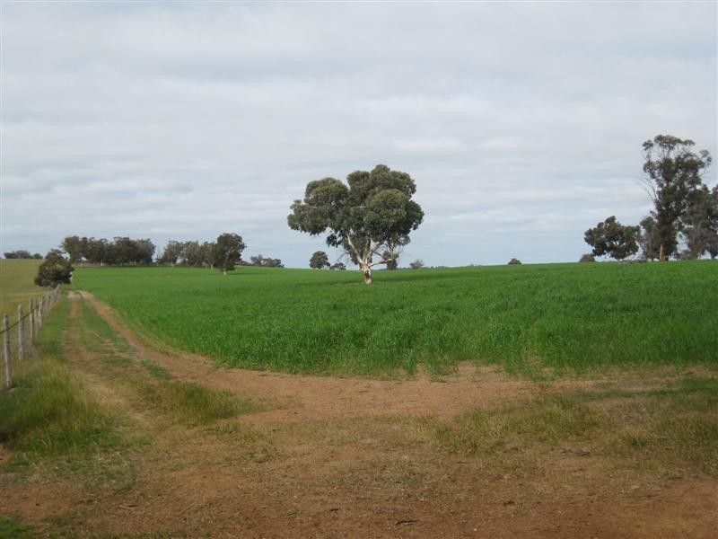 lot 4585 Doyle Road, Arthur River WA 6315