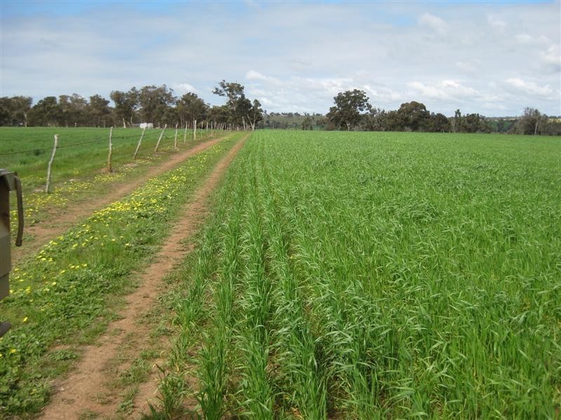 lot 4585 Doyle Road, Arthur River WA 6315