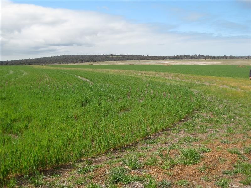 lot 4585 Doyle Road, Arthur River WA 6315