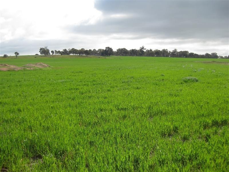 lot 4586 Doyle Road, Arthur River WA 6315