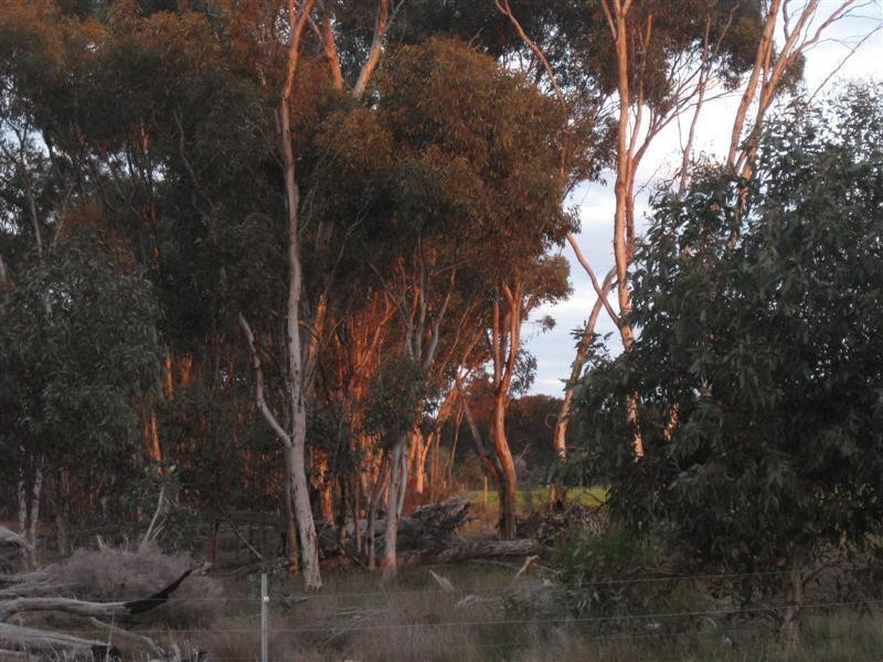 Arthur River WA 6315