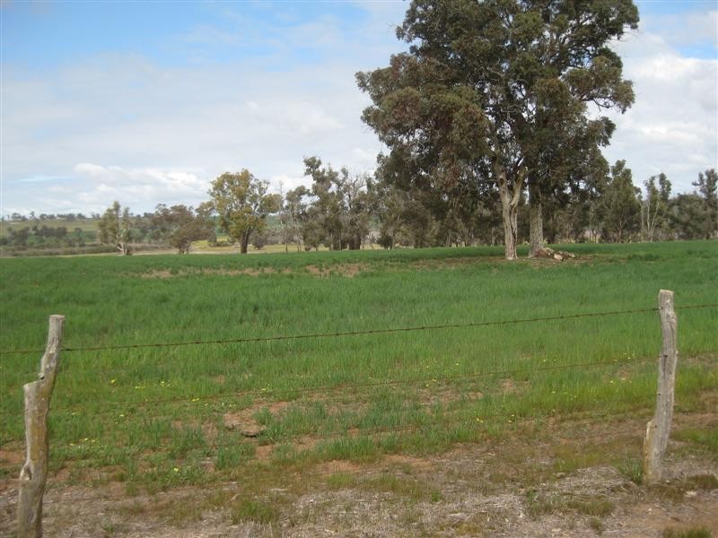 Arthur River WA 6315