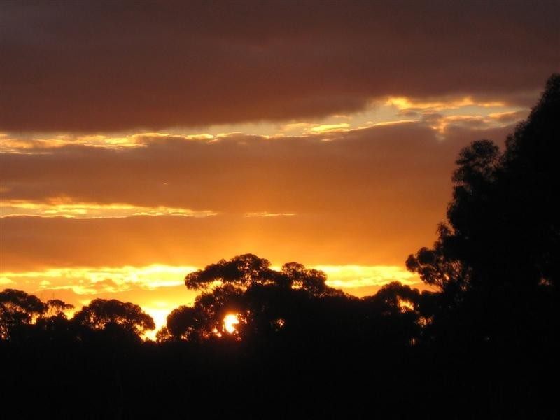 lot 4582 Doyle Road, Arthur River WA 6315