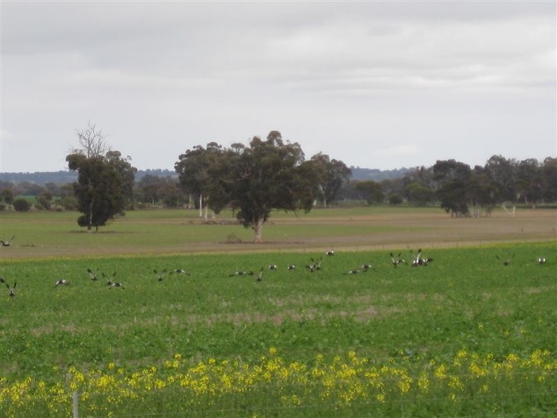 lot 4582 Doyle Road, Arthur River WA 6315