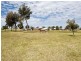 85 Baloo Crescent, Wannanup WA 6210