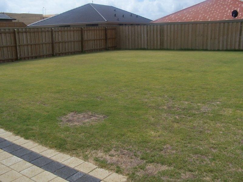 23 Richview Ramble, Wannanup WA 6210
