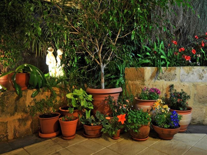 3 Newell Place, Dawesville WA 6211