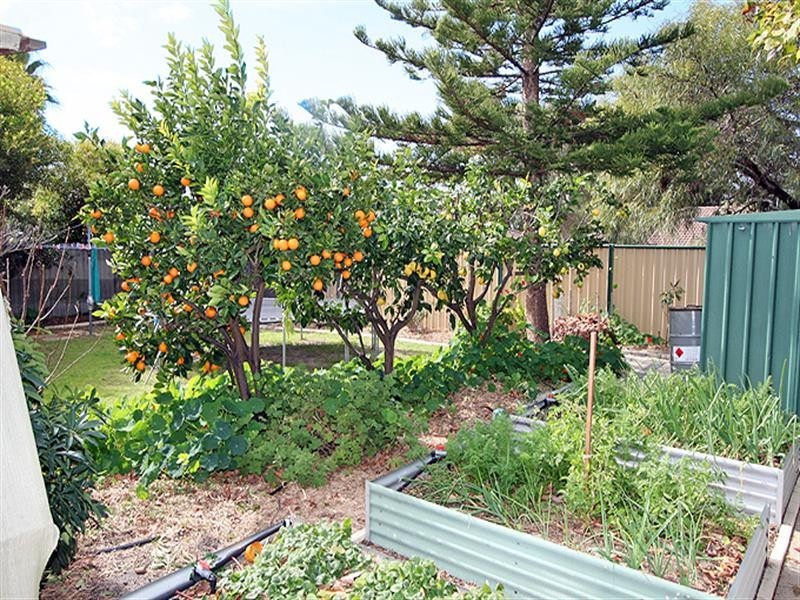 12 Oakdale Close, Halls Head WA 6210