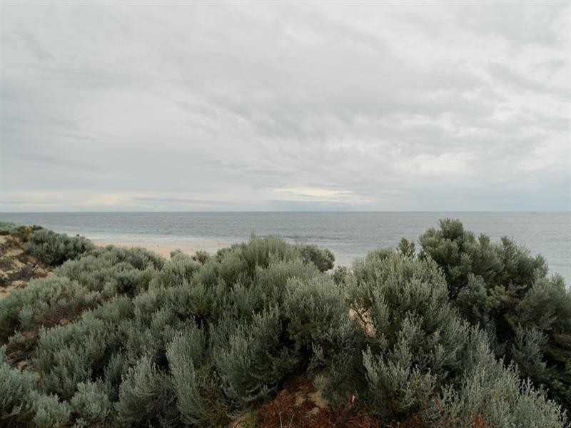 51 Oceanic Drive, Dawesville WA 6211