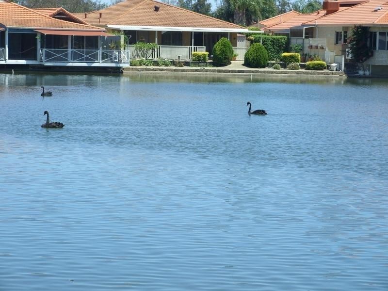 5 Lakes Crescent, South Yunderup WA 6208