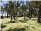 19 Buttercup Parkway, Halls Head WA 6210