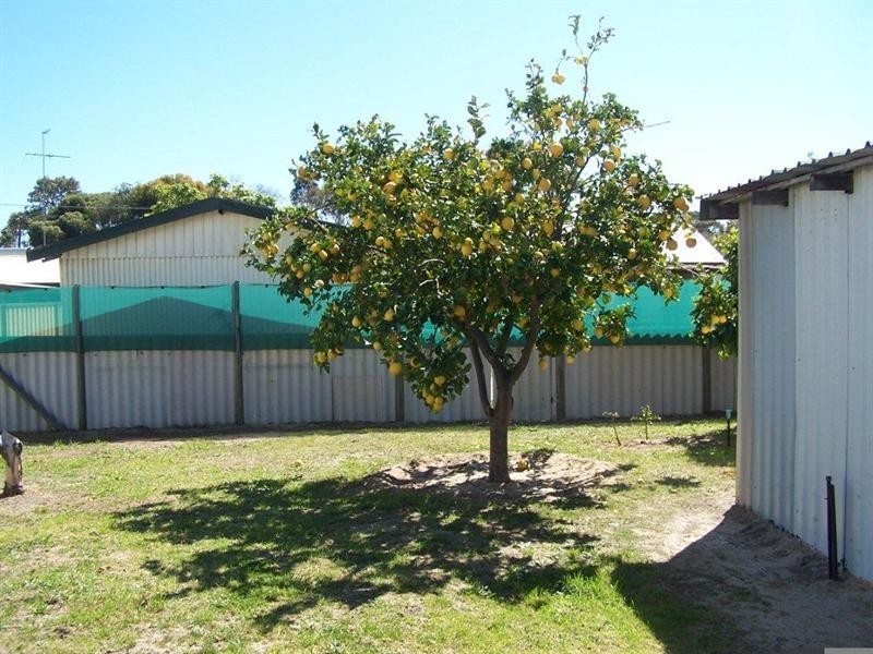 8 Linley Street, Wannanup WA 6210