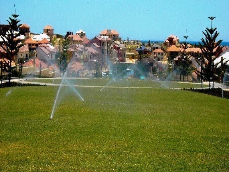 11 CONCH Way, Wannanup WA 6210