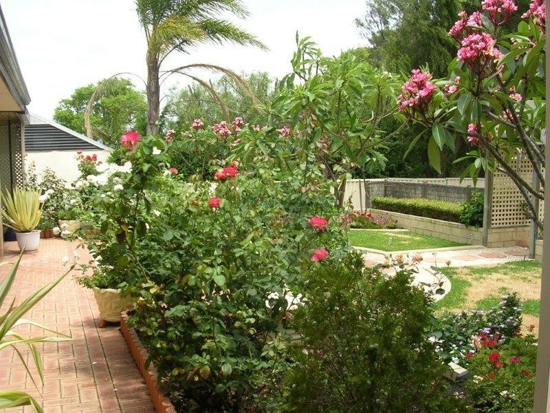 6 LUILL Crescent, Dawesville WA 6211