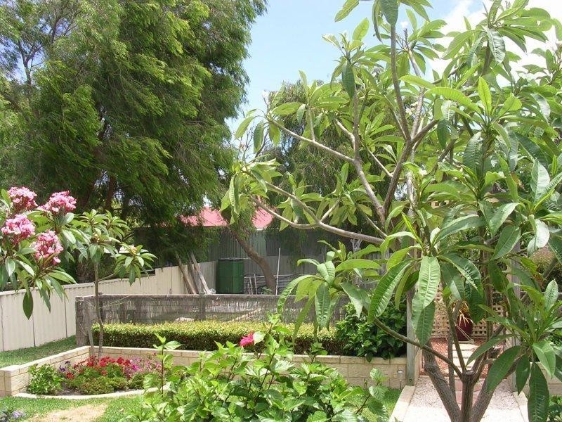 6 LUILL Crescent, Dawesville WA 6211