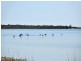 405 Southern Estuary, Herron WA 6211
