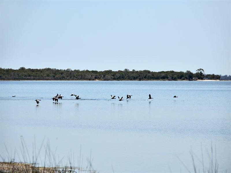 405 Southern Estuary, Herron WA 6211