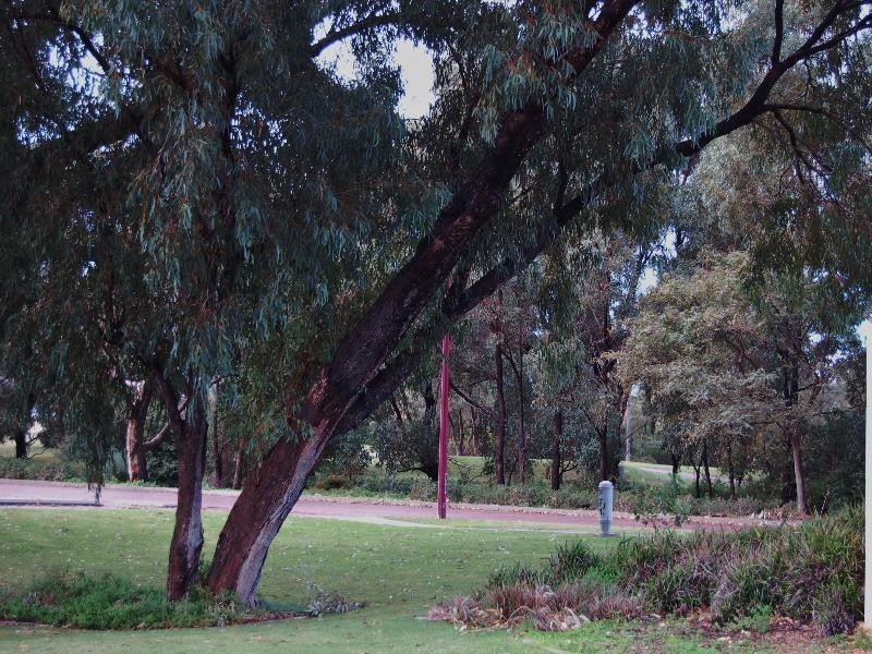 86/27 Meadow Springs Drive, Meadow Springs WA 6210